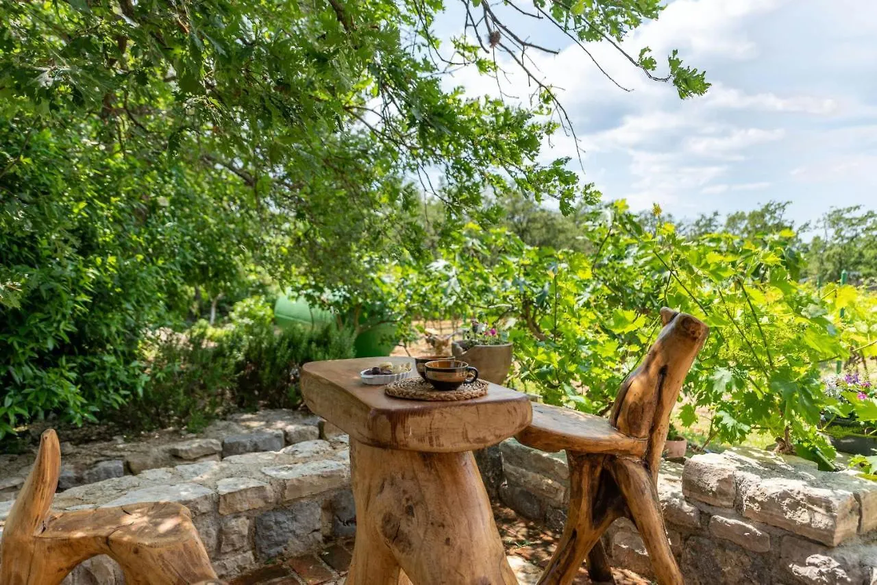 Villa Rosemary Zadarvillas Dracevac Ninski